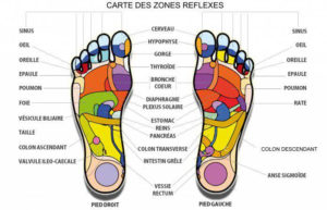 carte-des-zones-de-reflexes-therapeute-essentielle-rolle