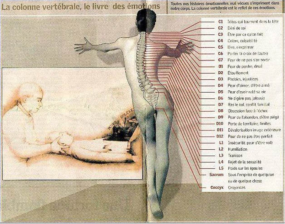 reflexologie rolle